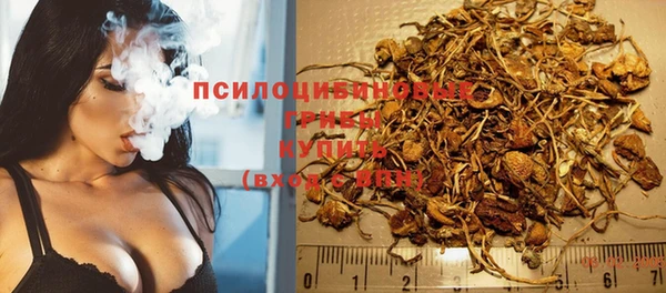 круглые Арсеньев