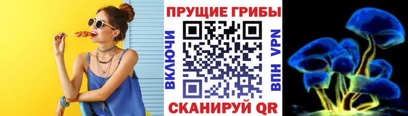 цена наркотик  Санкт-Петербург  Галлюциногенные грибы Psilocybine cubensis 